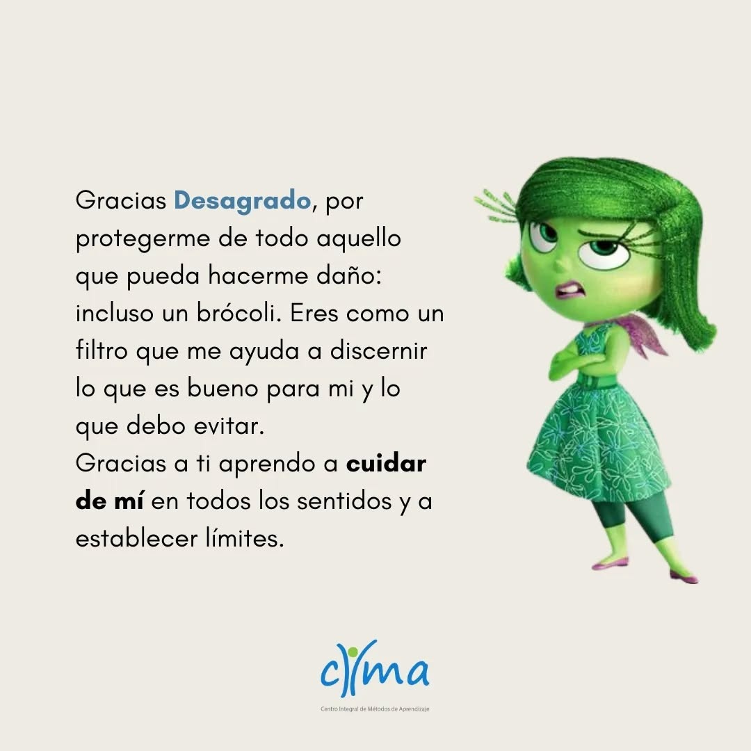 Enojo – CIMA